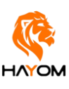 Hayom